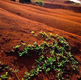 《夜勤旅店》Steam正式推出 恐怖探索冒险