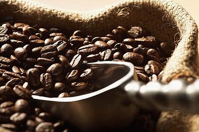 暴雪正在开发一款全新求生游戏 意在打造全新宇宙