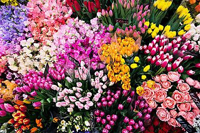 报道称谷歌有意让Stadia转型串流技术服务提供商